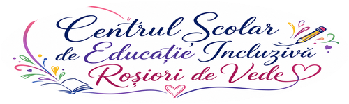 CSEI Roșiori de Vede CSEI Roșiori de Vede